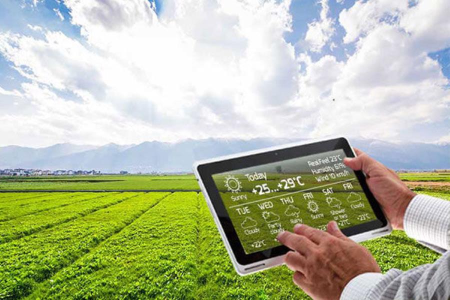 حمایت از نوآوری‌های فناورانه برای توسعه کشاورزی هوشمند
